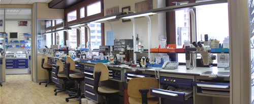 laboratorio